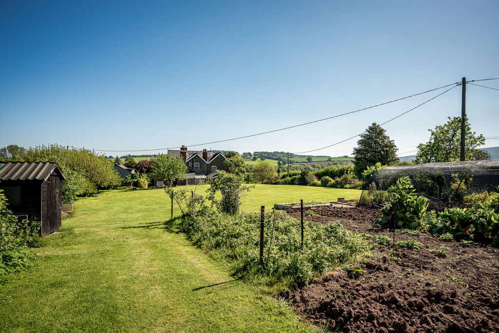 Garden- click for photo gallery